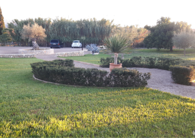 Finca Vorplatz und Einfahrt mit Olivenbäumen, Mallorca, Spanien